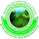 Wologizi